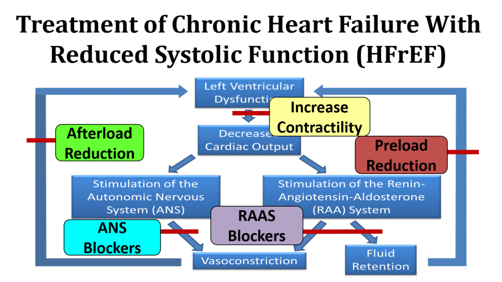 Box diagram of the effects of specific treatment strategies on the hormonal and structural effects of systolic heart failure