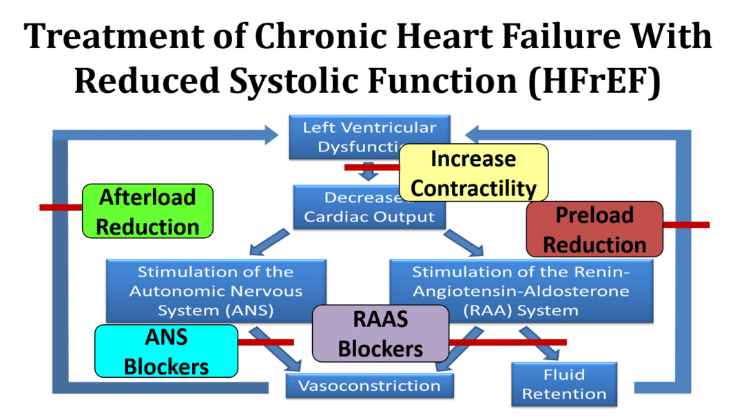 The Heart Failure Syndrome Executive Electrocardiogram Education