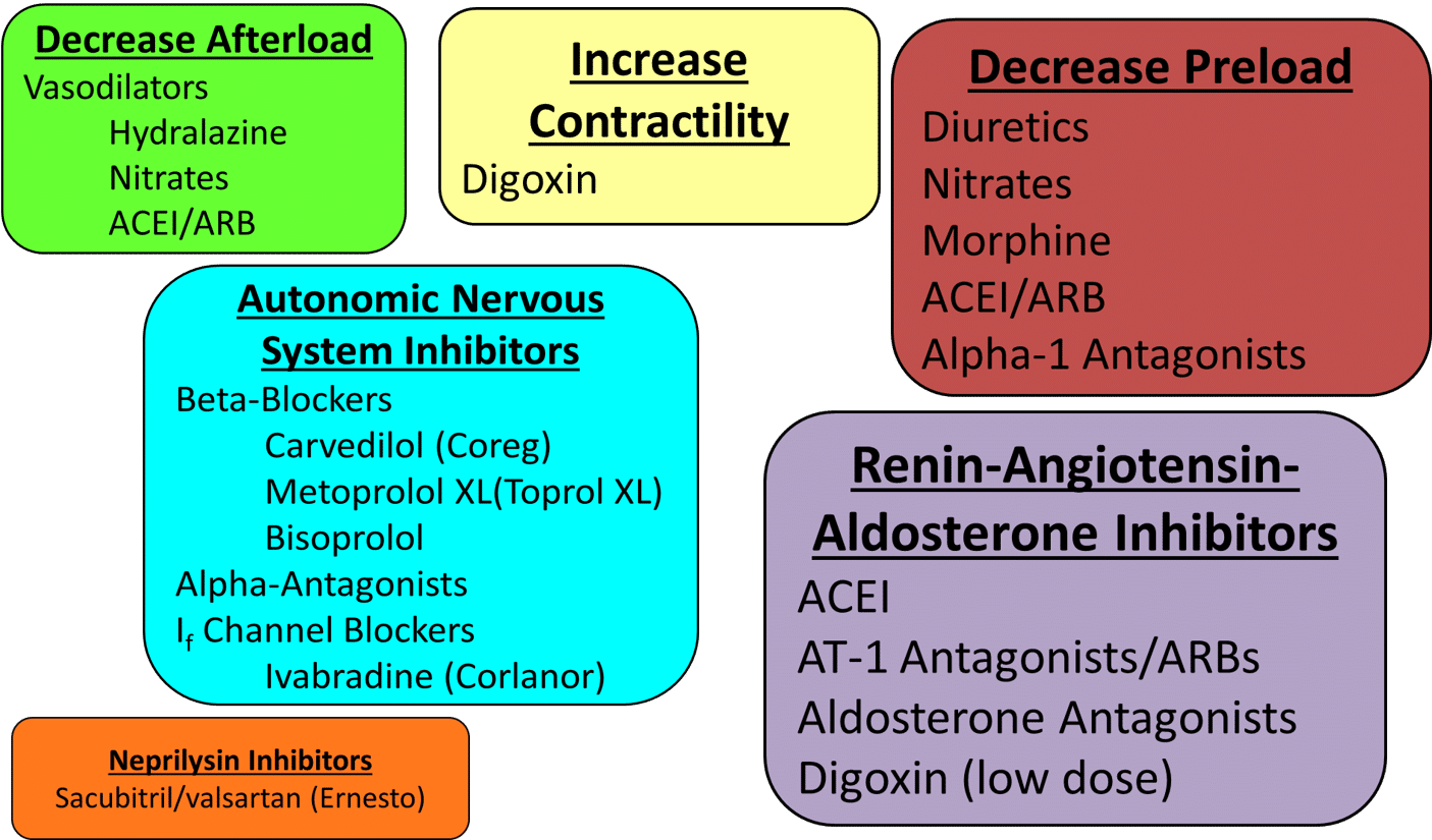 The Heart Failure Syndrome Executive Electrocardiogram Education