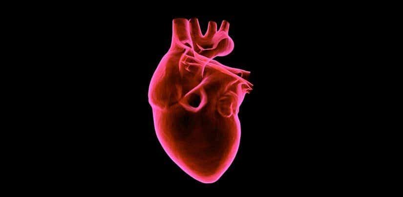 The Heart Failure Syndrome