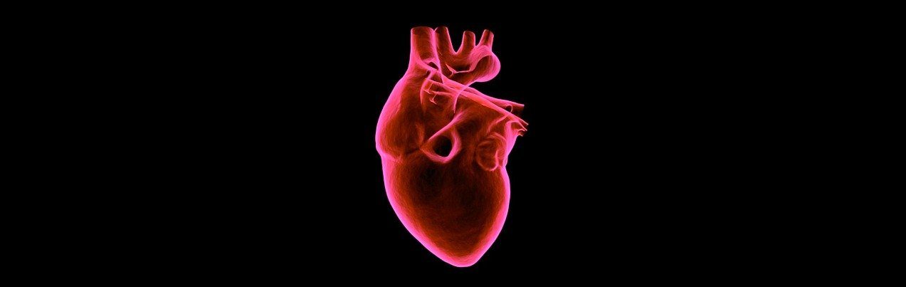 The Heart Failure Syndrome