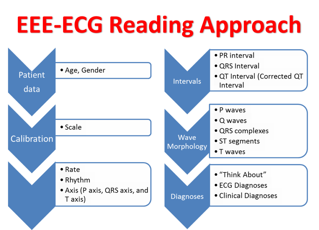 Diagram outlining the ECG reading approach described in Executive Electrocardiogram Education (ecgedu.com)